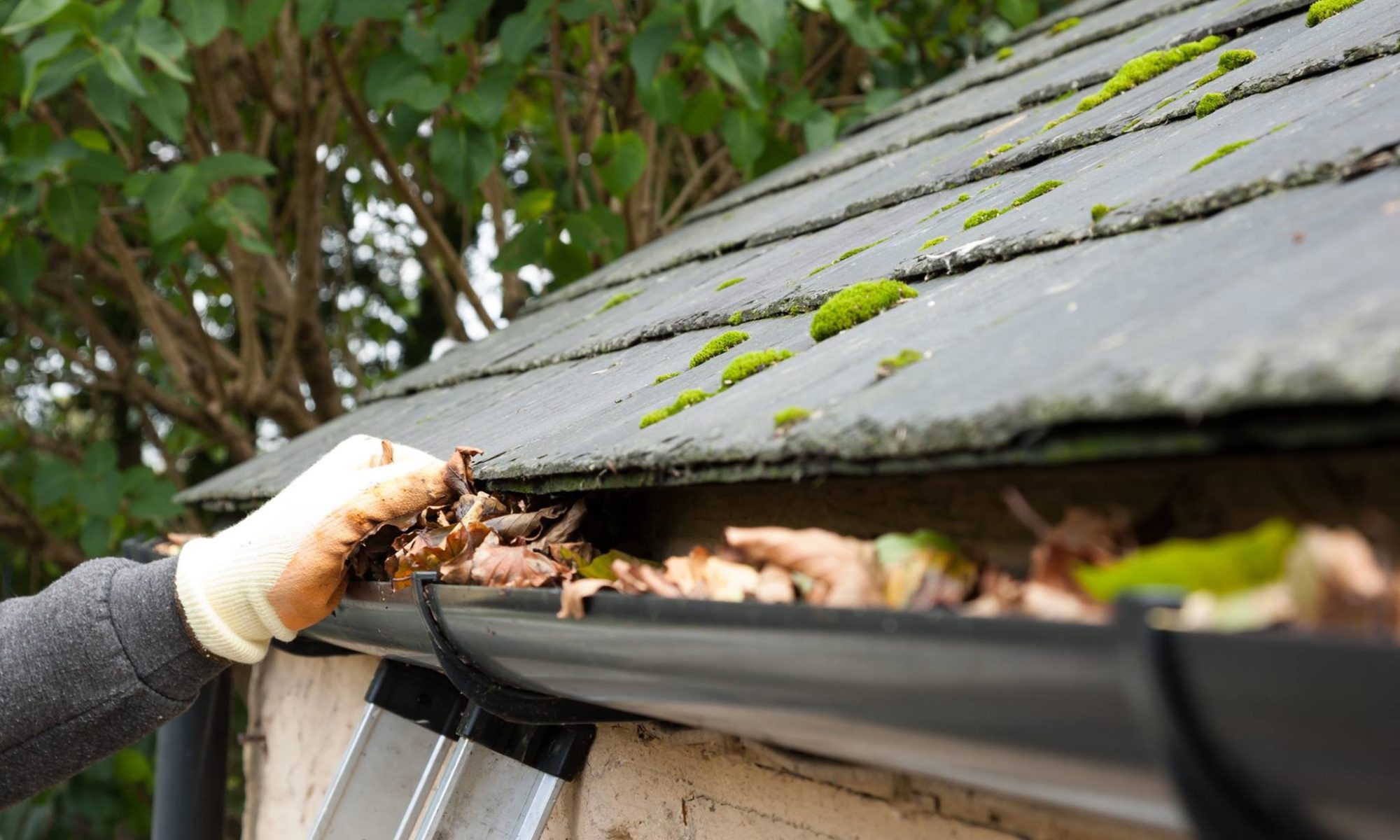 Gutter Cleaning