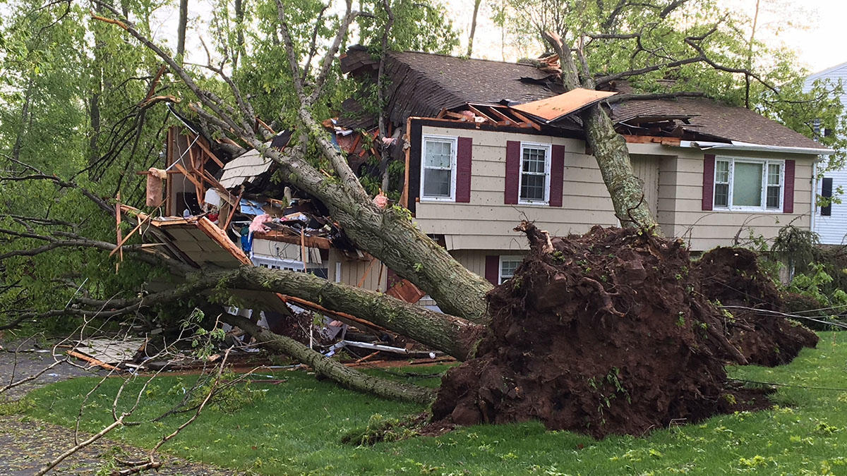 Storm Damage